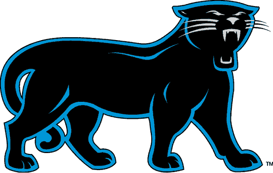 Carolina Panthers 1995-2011 Alternate Logo t shirts iron on transfers